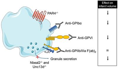 Platelets Are at the Nexus of Vascular Diseases